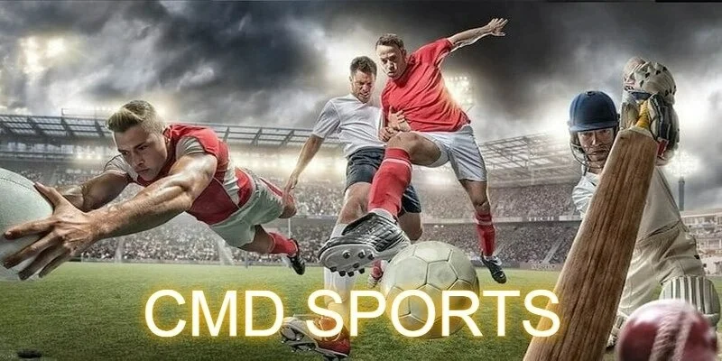 ภาพรวมของล็อบบี้ CMD